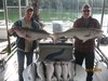 (08/24/2015) - Nice Striped Bass